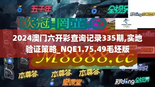 2024澳门六开彩查询记录335期,实地验证策略_NQE1.75.49毛坯版