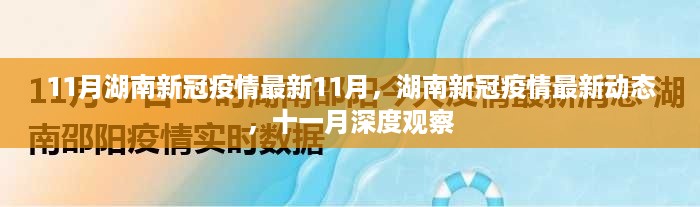 湖南新冠疫情最新动态深度观察，十一月报告