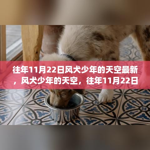 往年11月22日的风犬少年探索与洞察，青春的天空最新篇章