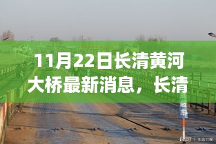 长清黄河大桥最新动态，多维视角下的深度解析