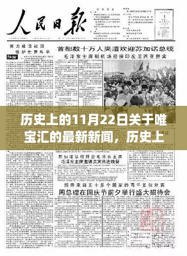 唯宝汇新闻事件深度解析与观点阐述，历史上的11月22日回顾与最新动态