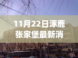 11月22日涿鹿张家堡最新消息，张家堡的温馨日常，11月22日的奇遇与陪伴