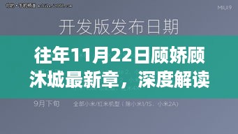 往年11月22日顾娇顾沐城最新章，深度解读与个人立场观点