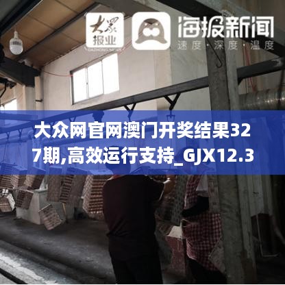 大众网官网澳门开奖结果327期,高效运行支持_GJX12.33