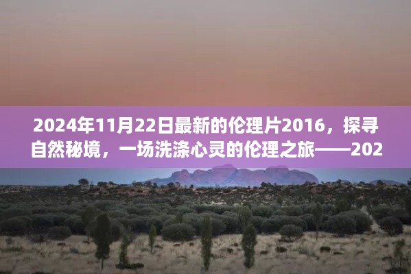 心灵洗涤之旅，新伦理片启示录——探寻自然秘境的伦理之旅（2024年11月22日最新）