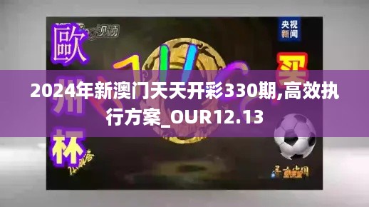 2024年新澳门天天开彩330期,高效执行方案_OUR12.13