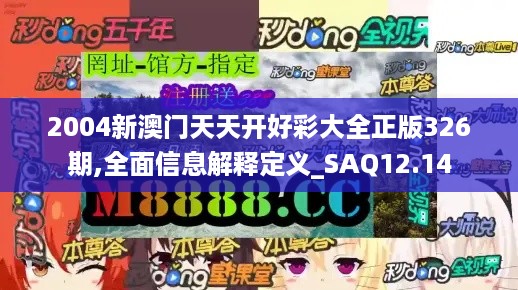 2004新澳门天天开好彩大全正版326期,全面信息解释定义_SAQ12.14