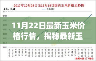 11月22日玉米价格行情深度解析，最新走势揭秘