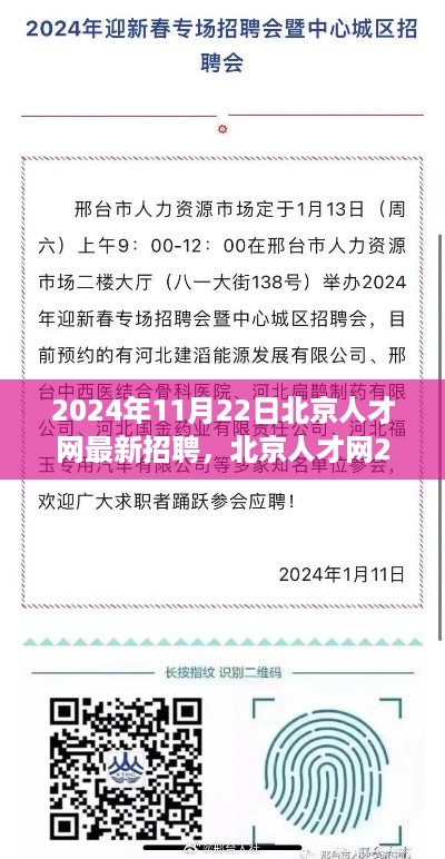 2024年11月22日北京人才网最新招聘，北京人才网2024年11月22日最新招聘盛况，人才汇聚，开启新篇章