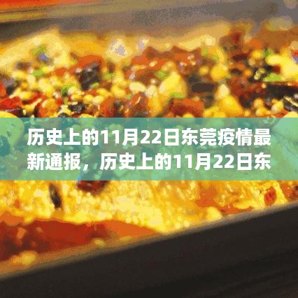 历史上的11月22日东莞疫情最新通报，解析与应对步骤指南