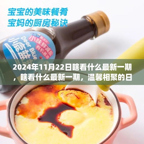 温馨相聚的日子，瞎看什么最新一期 2024年11月22日