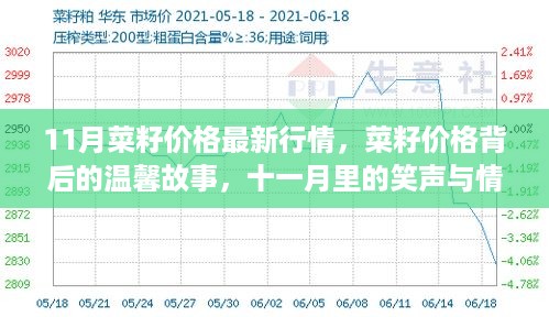 十一月菜籽价格背后的故事，情感纽带与温馨笑声