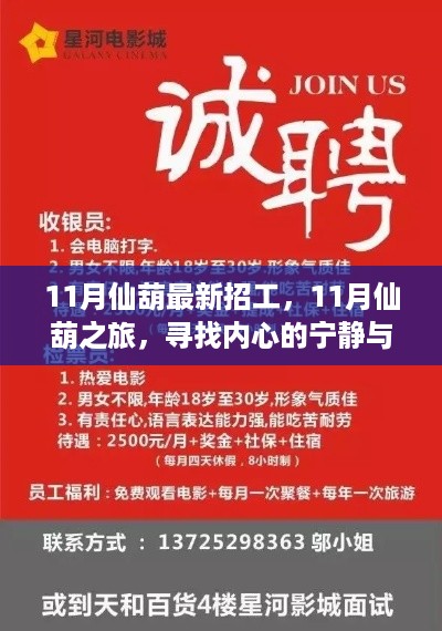 11月仙葫之旅，寻找内心宁静与最新就业机会