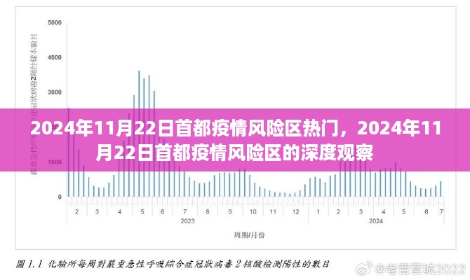 2024年11月22日首都疫情风险区深度观察与热门分析