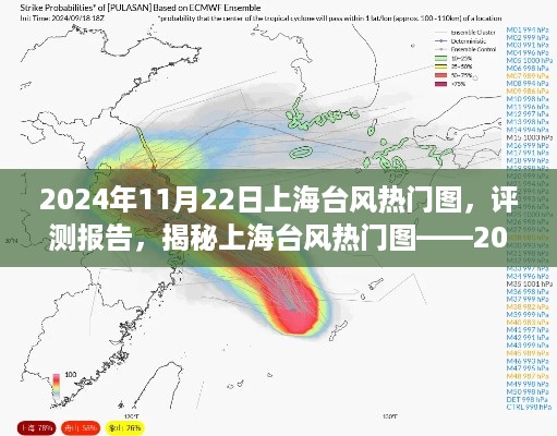 揭秘上海台风热门图，可视化数据图分析报告——来自2024年11月22日的深度评测报告