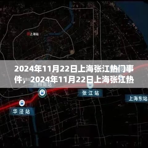 2024年11月22日上海张江热门事件深度解析，特性、体验、竞争分析与用户群体洞察