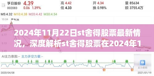 ST舍得股票最新动态解析及前景展望（2024年11月22日深度解读）