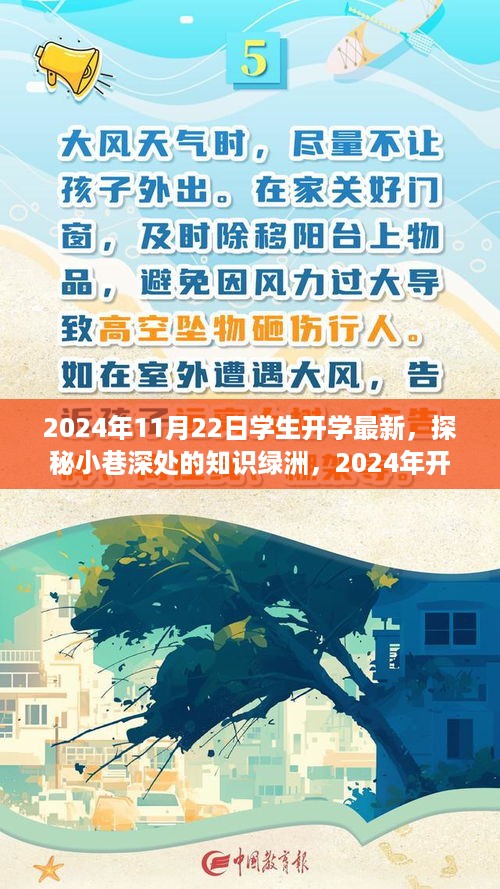 探秘知识绿洲，揭秘2024年开学新篇章隐藏宝藏，小巷深处的学术秘境开启