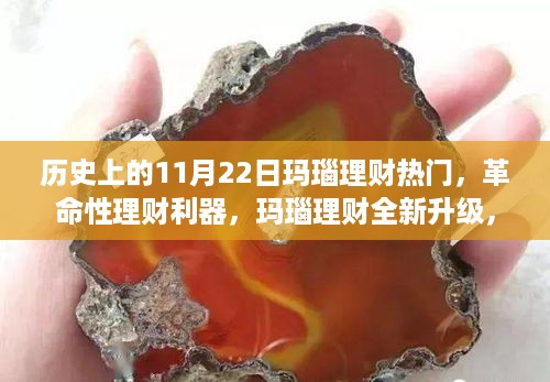 革命性理财利器，玛瑙理财重塑未来理财新纪元，热门升级活动在11月22日盛大开启