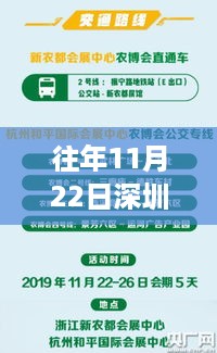 深圳市常委热门活动参与指南，以历年11月22日为例解析活动盛况与参与策略