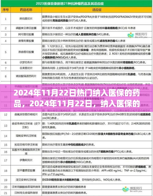 2024年11月22日热门纳入医保药品概览