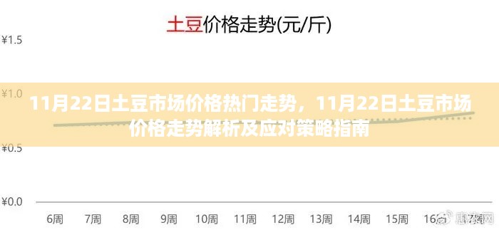 11月22日土豆市场价格热门走势，11月22日土豆市场价格走势解析及应对策略指南