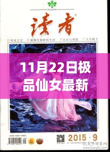 11月22日极品仙女最新免费阅读，全面解析与个人立场阐述