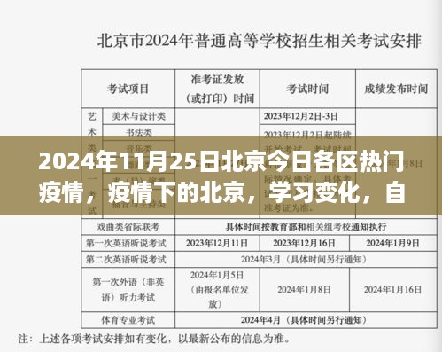 北京各区热门疫情动态，学习变化中的自信闪耀与未来展望（2024年11月25日）