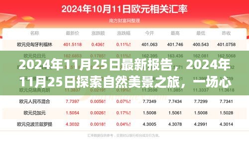 心灵重生之旅，探索自然美景的奇妙之旅（2024年11月25日最新报告）