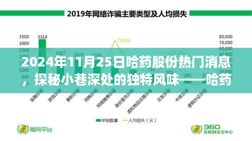 哈药股份背后的故事与美食小店的探秘之旅，2024年热门消息揭秘