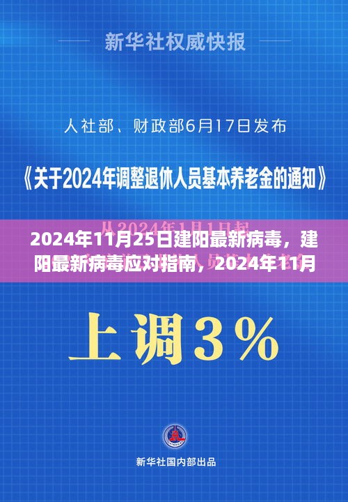 建阳最新病毒应对指南，初学者与进阶用户均可参考（2024年11月版）