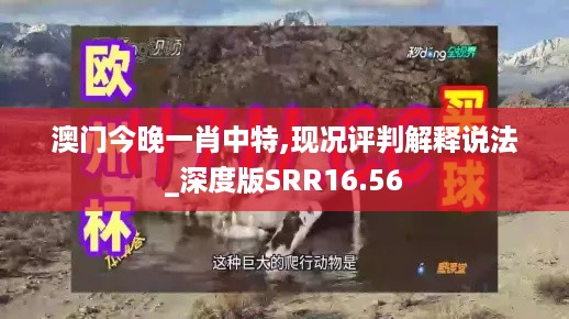 澳门今晚一肖中特,现况评判解释说法_深度版SRR16.56