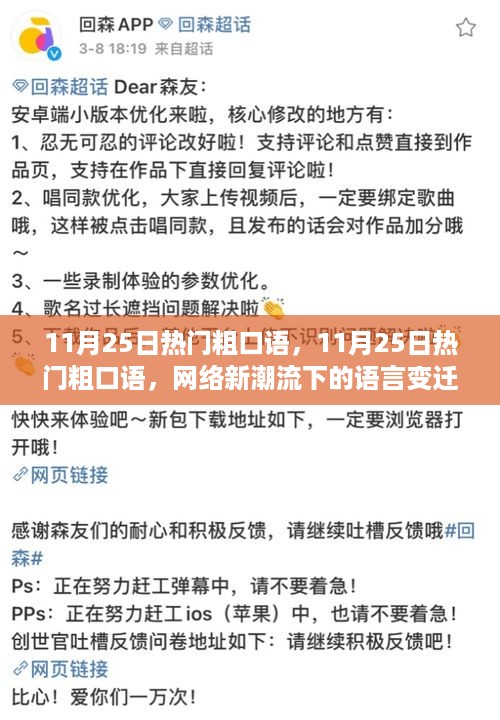 11月25日流行粗口语，网络新潮流引领语言变迁