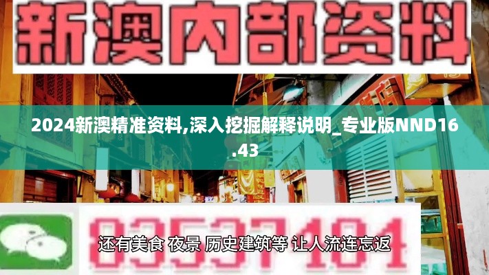 2024新澳精准资料,深入挖掘解释说明_专业版NND16.43