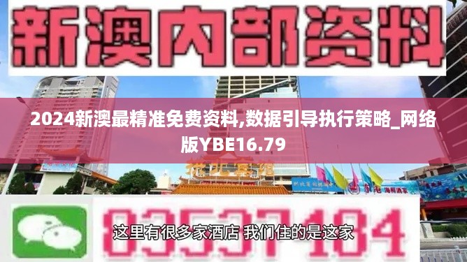 2024新澳最精准免费资料,数据引导执行策略_网络版YBE16.79