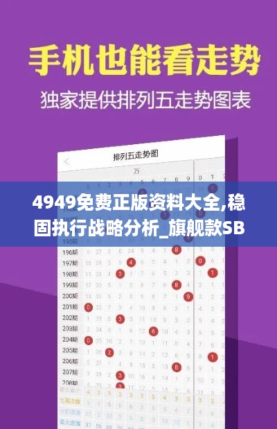 4949免费正版资料大全,稳固执行战略分析_旗舰款SBE13.75