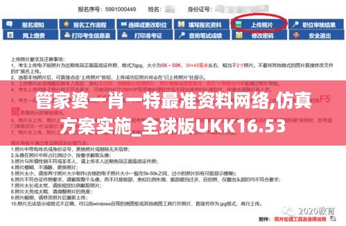 管家婆一肖一特最准资料网络,仿真方案实施_全球版UKK16.53