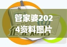 管家婆2024资料图片125期,实地验证实施_时空版NBF13.5