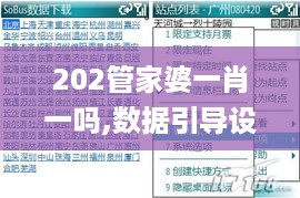 202管家婆一肖一吗,数据引导设计方法_传递版EJO16.88