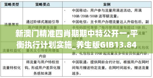 新澳门精准四肖期期中特公开一,平衡执行计划实施_养生版GIB13.84