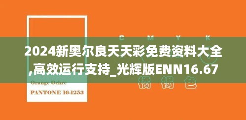 2024新奥尔良天天彩免费资料大全,高效运行支持_光辉版ENN16.67