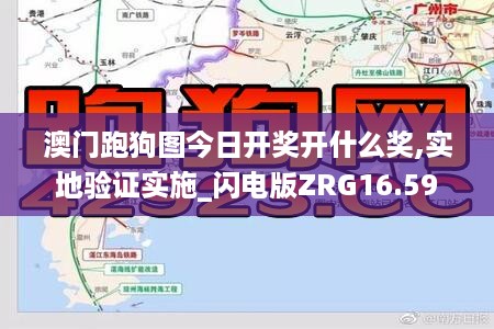 澳门跑狗图今日开奖开什么奖,实地验证实施_闪电版ZRG16.59