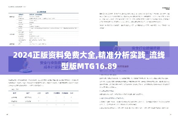 2024正版资料免费大全,精准分析实践_流线型版MTG16.89