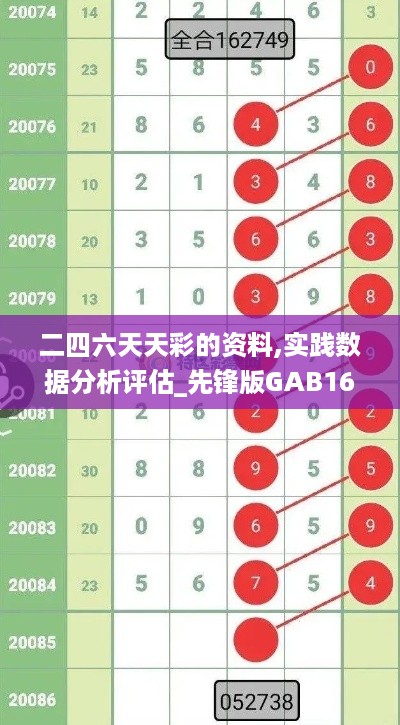 二四六天天彩的资料,实践数据分析评估_先锋版GAB16.37