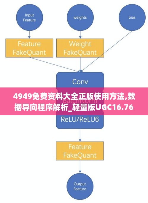 4949免费资料大全正版使用方法,数据导向程序解析_轻量版UGC16.76