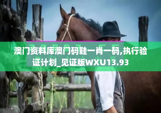 澳门资料库澳门码鞋一肖一码,执行验证计划_见证版WXU13.93