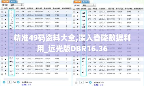 精准49码资料大全,深入登降数据利用_远光版DBR16.36