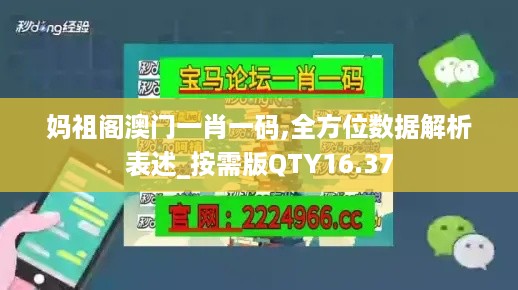 妈祖阁澳门一肖一码,全方位数据解析表述_按需版QTY16.37