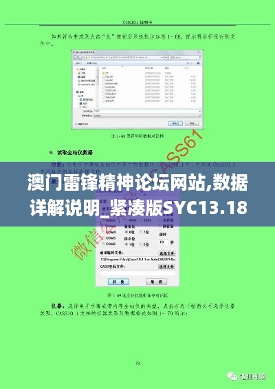 澳门雷锋精神论坛网站,数据详解说明_紧凑版SYC13.18