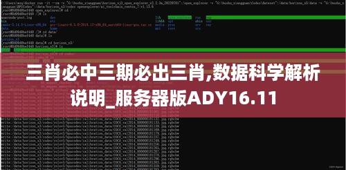 三肖必中三期必出三肖,数据科学解析说明_服务器版ADY16.11